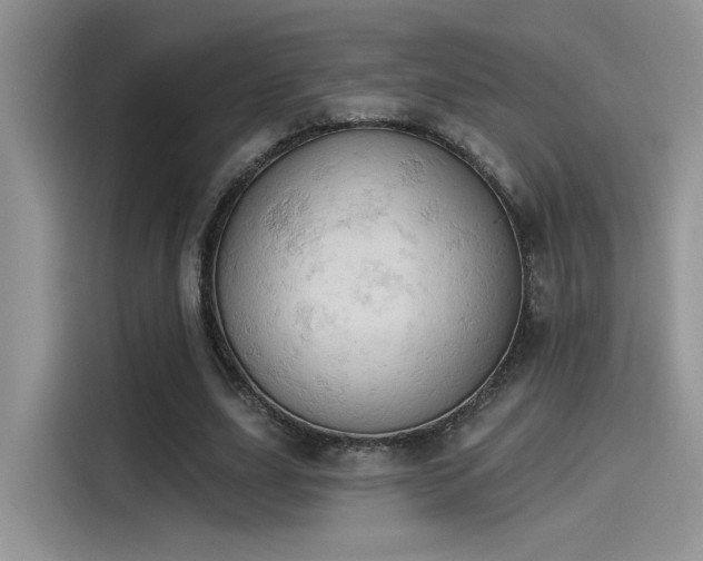 X0000115590631200911171030