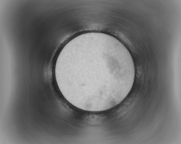 X0000115590632200911171030