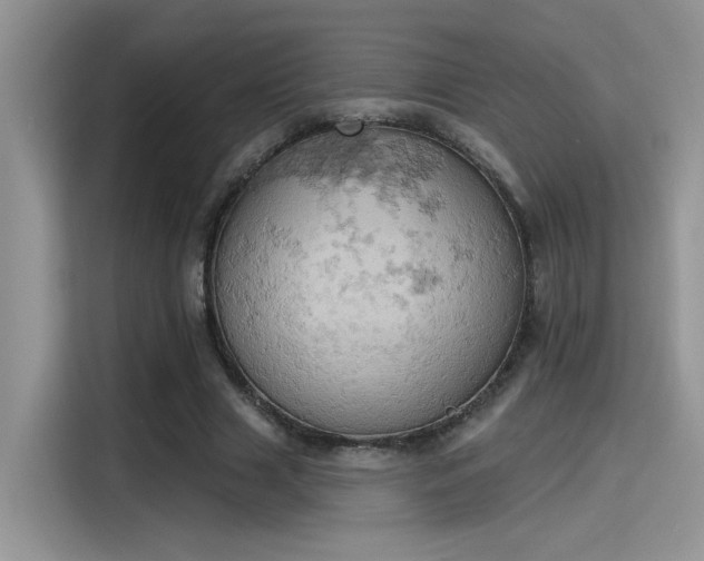 X0000115590633200911171030