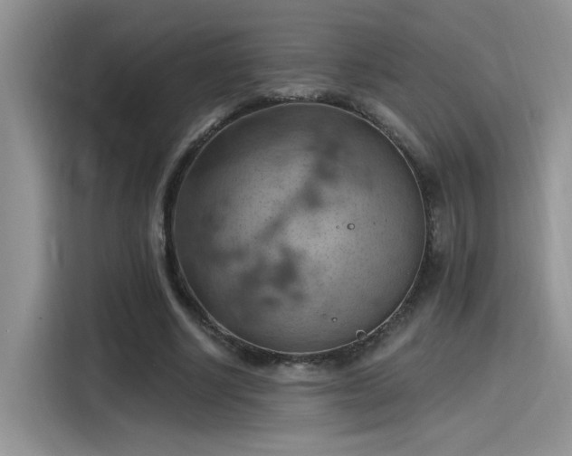X0000115590634200911171030