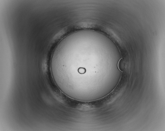 X0000115590635200911171030