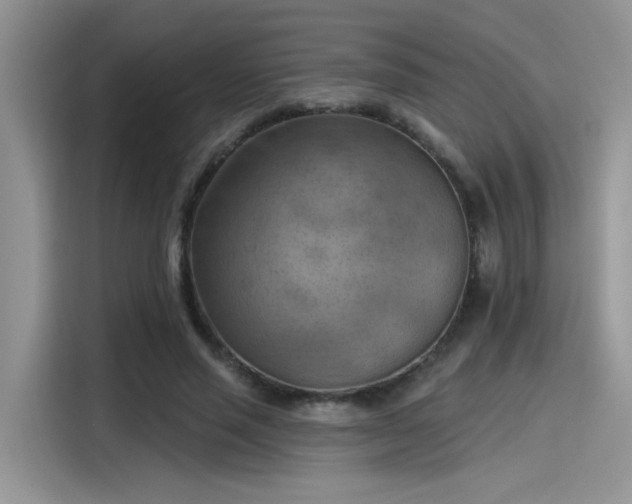 X0000115590637200911171030
