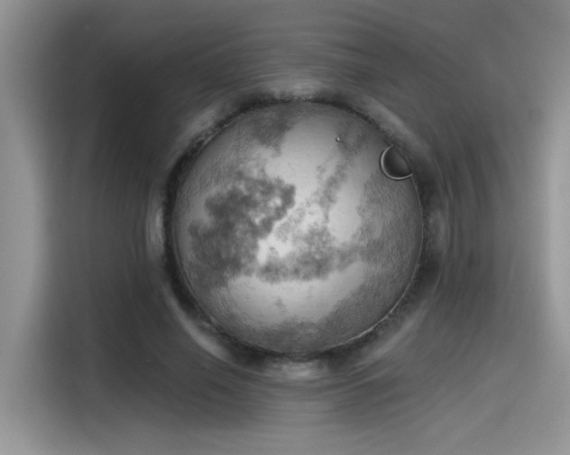 X0000115590638200911171030