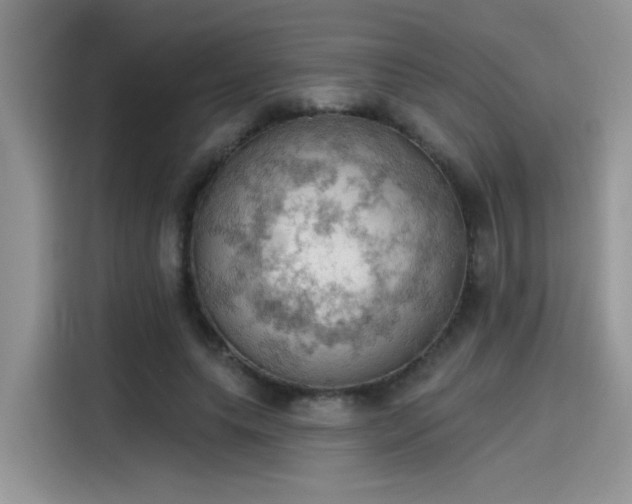 X0000115590639200911171030