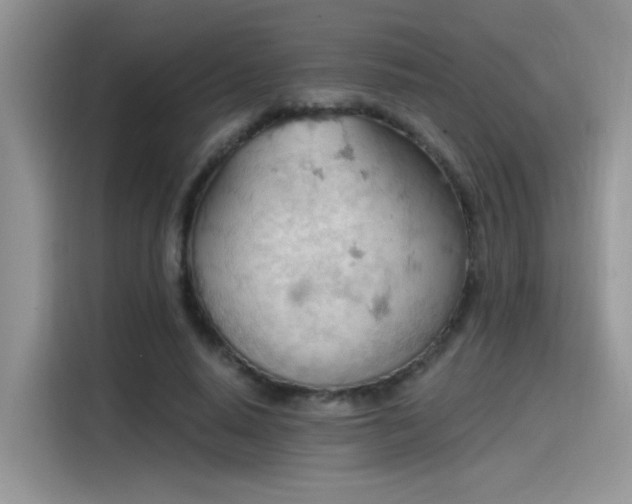 X0000115590640200911171030