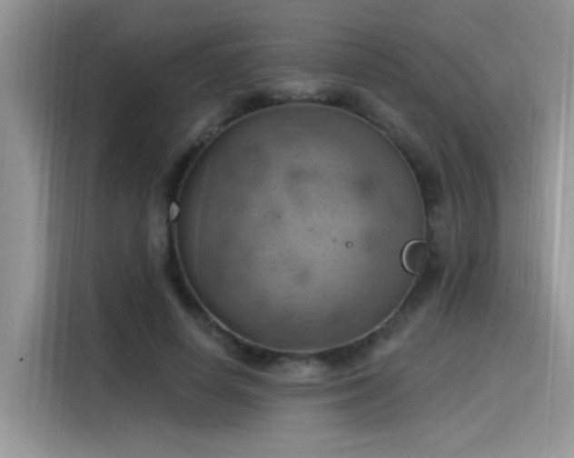 X0000115590642200911171030