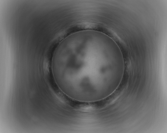 X0000115590643200911171030