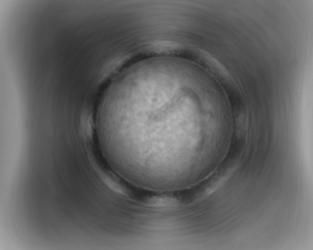 X0000115590644200911171030