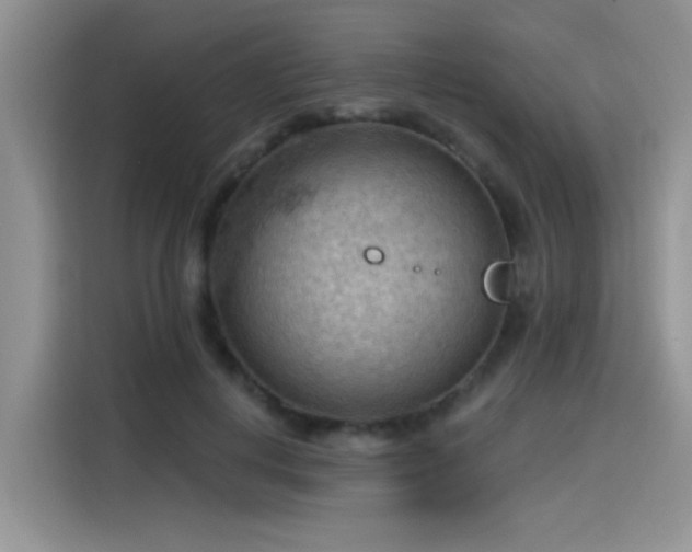 X0000115590648200911171030