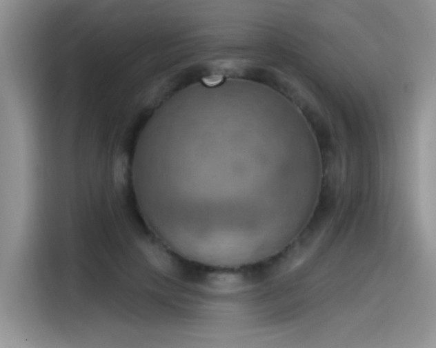 X0000115590649200911171030