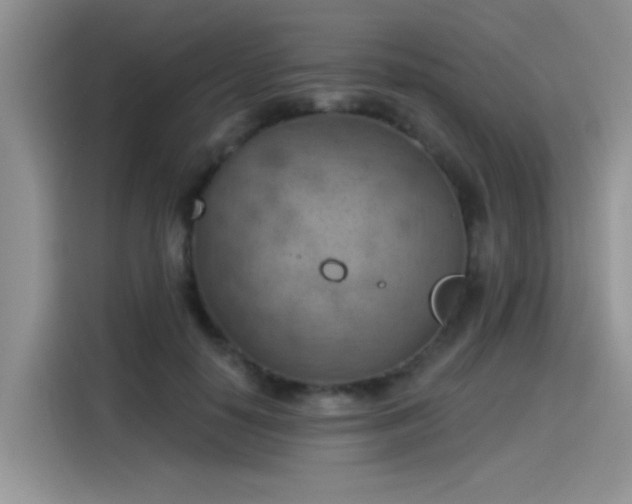 X0000115590650200911171030