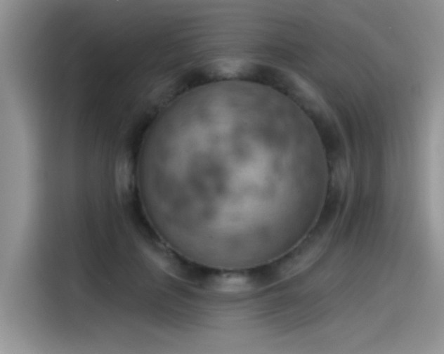 X0000115590651200911171030