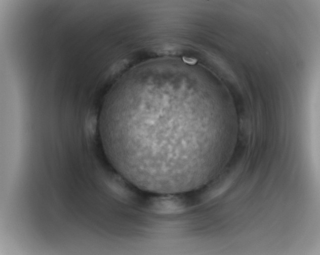 X0000115590652200911171031