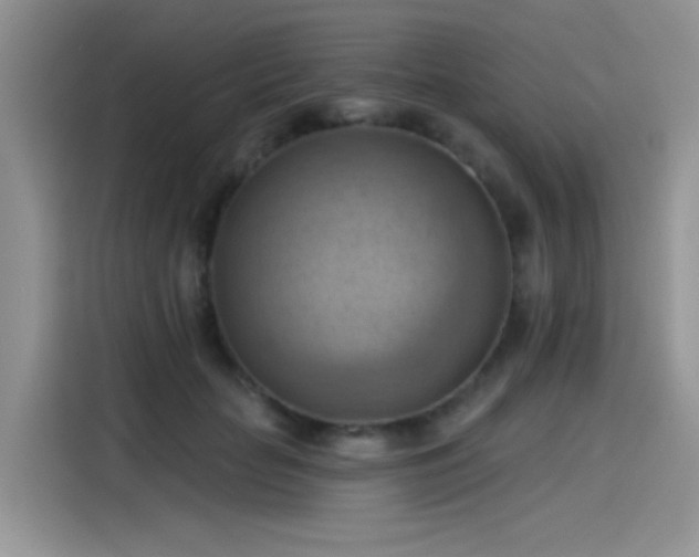 X0000115590653200911171031
