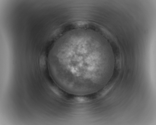 X0000115590654200911171031