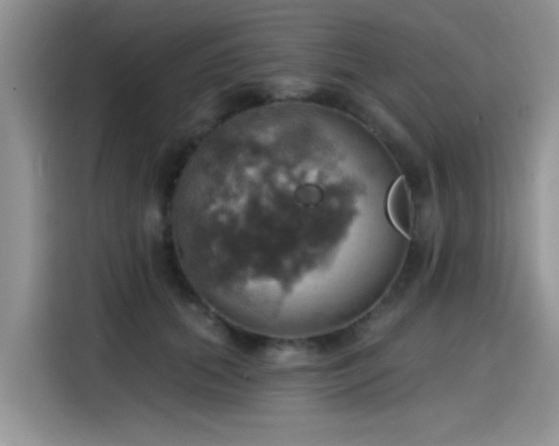 X0000115590655200911171031
