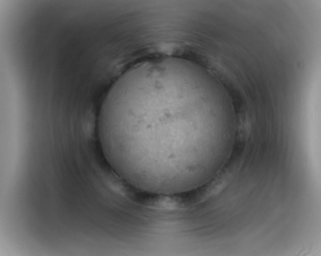 X0000115590656200911171031