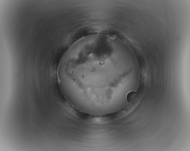 X0000115590657200911171031
