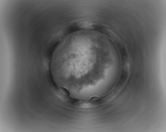 X0000115590658200911171031
