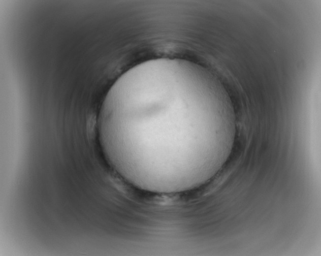 X0000115590660200911171031