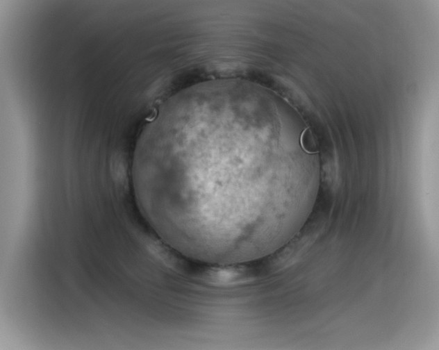 X0000115590662200911171031