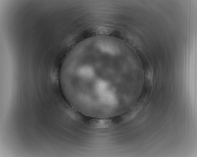 X0000115590663200911171031