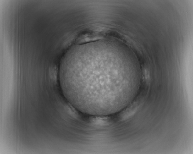 X0000115590664200911171031