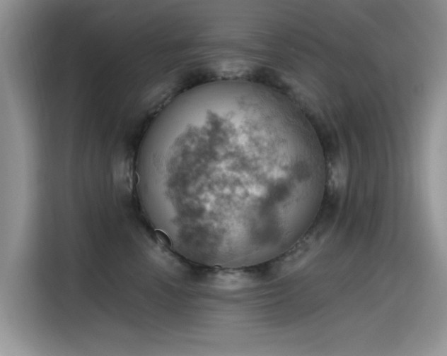 X0000115590666200911171031