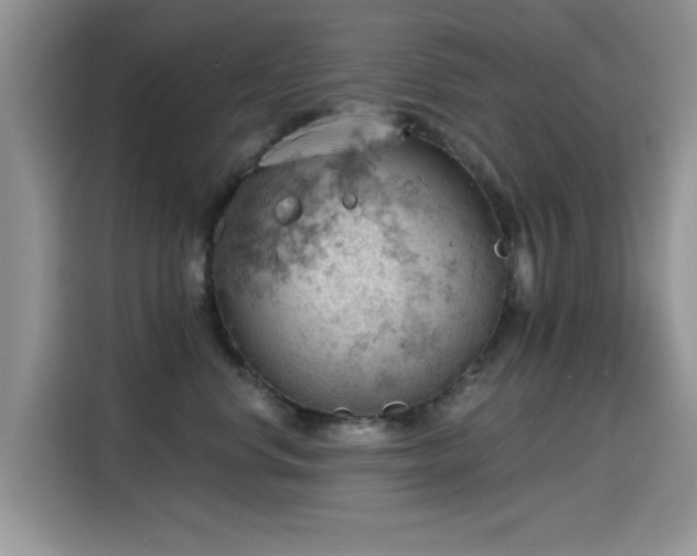 X0000115590668200911171031