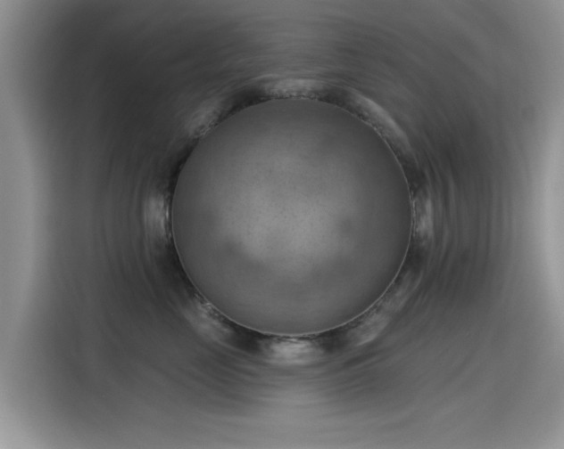 X0000115590669200911171031