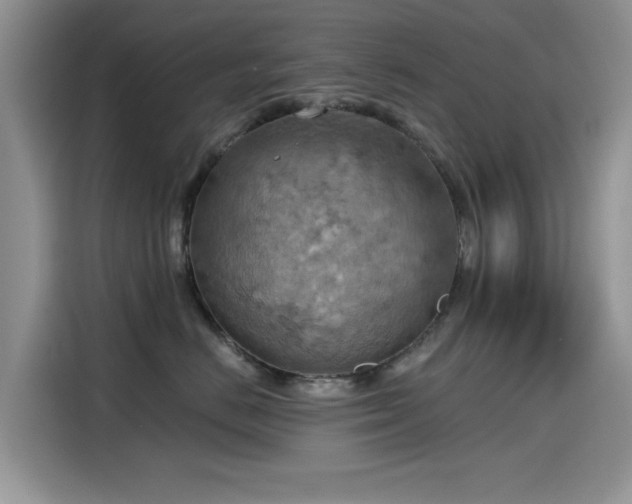 X0000115590670200911171031
