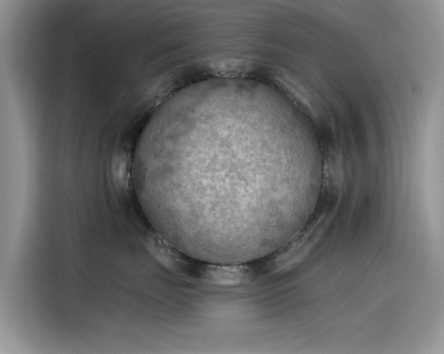 X0000115590671200911171031