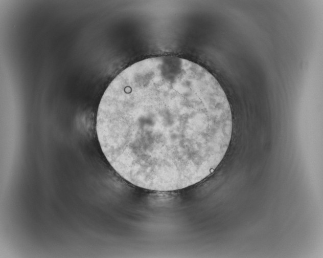 X0000115590672200911171031