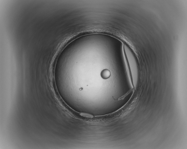X0000115590673200911171030