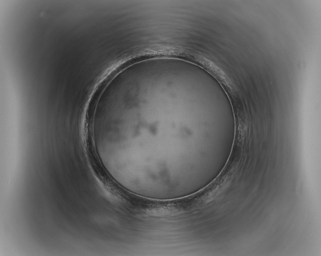 X0000115590674200911171030