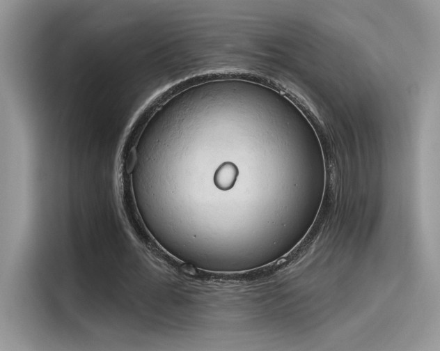 X0000115590676200911171030