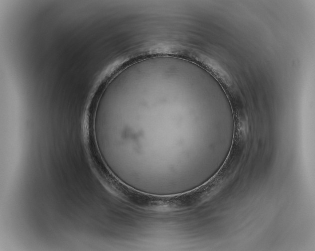 X0000115590678200911171030
