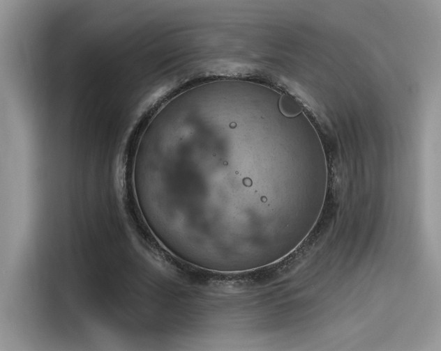 X0000115590679200911171030