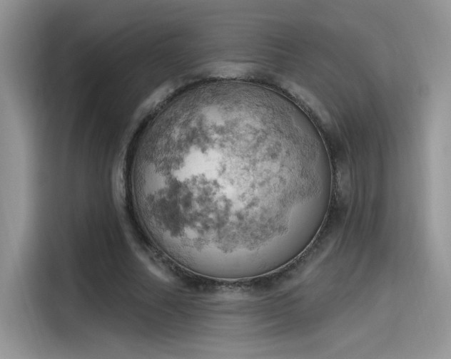 X0000115590682200911171030