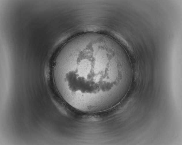 X0000115590683200911171030