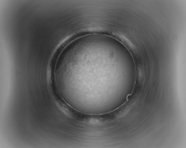 X0000115590684200911171030
