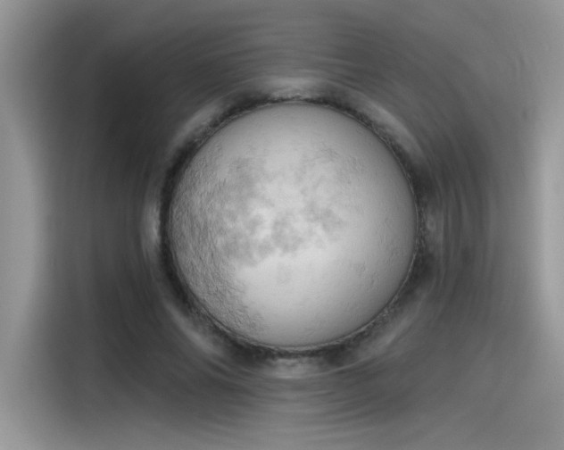 X0000115590686200911171030