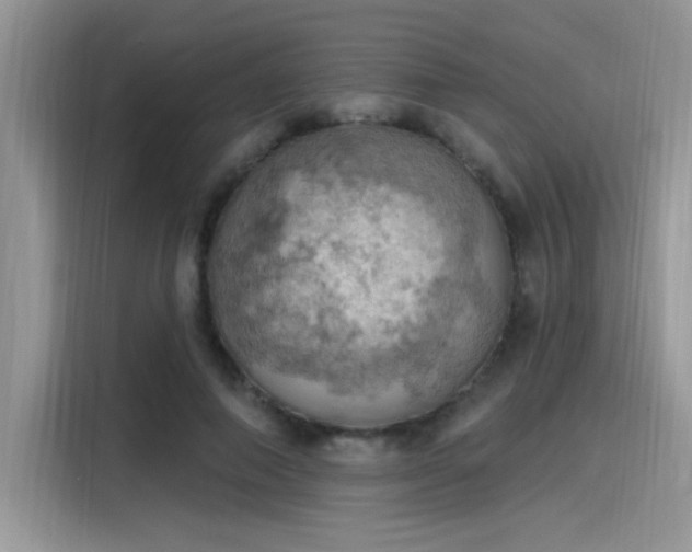 X0000115590690200911171030