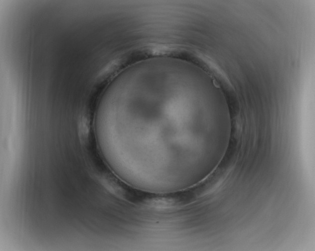 X0000115590691200911171030