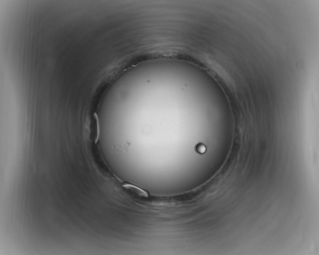 X0000115590693200911171030