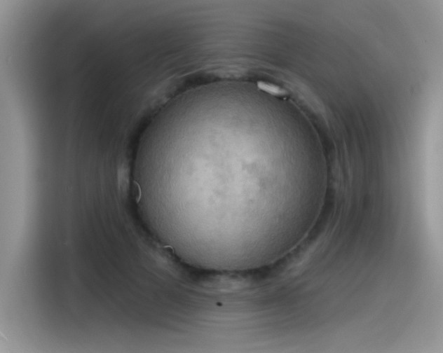 X0000115590697200911171030