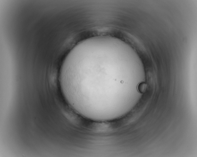 X0000115590698200911171030