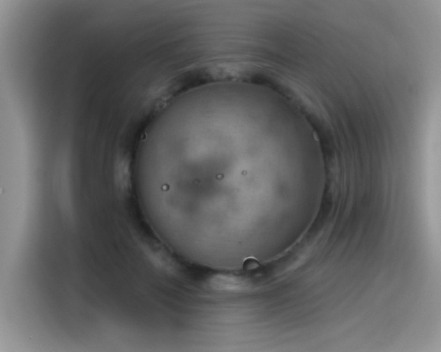 X0000115590699200911171030