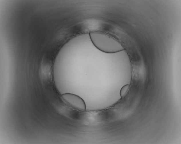 X0000115590701200911171030