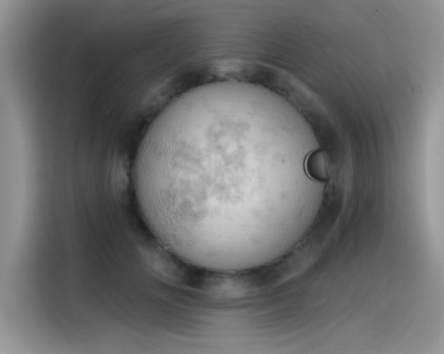 X0000115590702200911171030